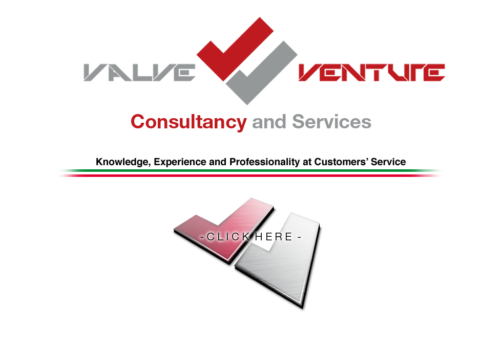 Inspection, Testing, Expediting services, Consultancy, Project Management, Supply Chain Management, Engineering, are few examples of the fields where ValveVenture can support their Customers
